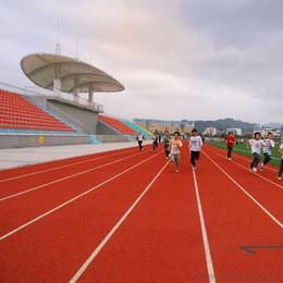 拼装运动地板供应与批发指南 产品、价格与选购渠道