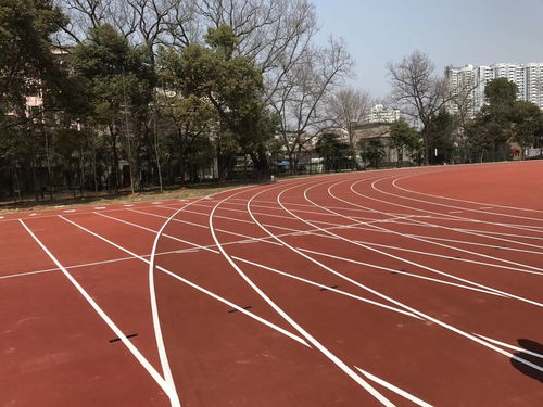 塑胶跑道类型对比 预制型跑道卷材的优势与应用