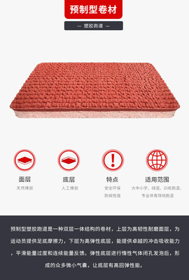 瑞迈品牌塑胶跑道解决方案 复合型与预制型跑道卷材，共创卓越运动场地