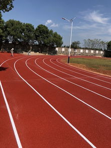 塑胶场地预制型跑道卷材 厂家报价与鞋透气性能解析