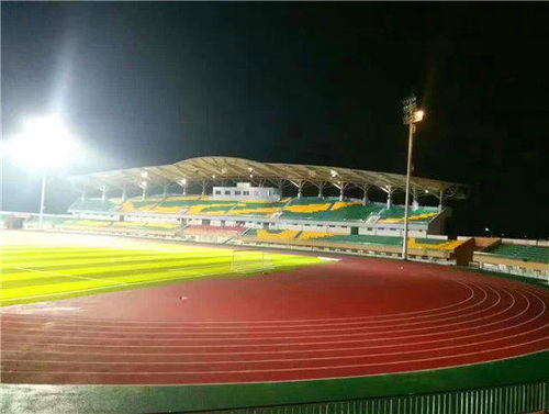 山东青岛学校塑胶跑道建设 聚焦实效，优选预制型跑道卷材