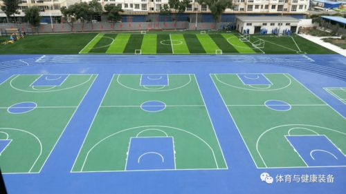 《学校运动场地合成材料面层推荐目录(2020年版)》产品展播 塑胶场地预制型跑道卷材