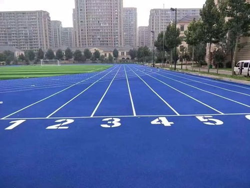 聊城高唐 预制型塑胶球场与跑道卷材的专业制造与应用