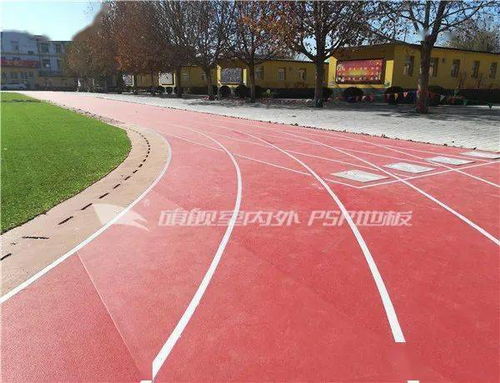 运动与健康同行 塑胶场地与预制型跑道卷材的革新力量