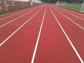 400米预制型塑胶跑道每平米施工报价详解 影响因素与市场行情分析